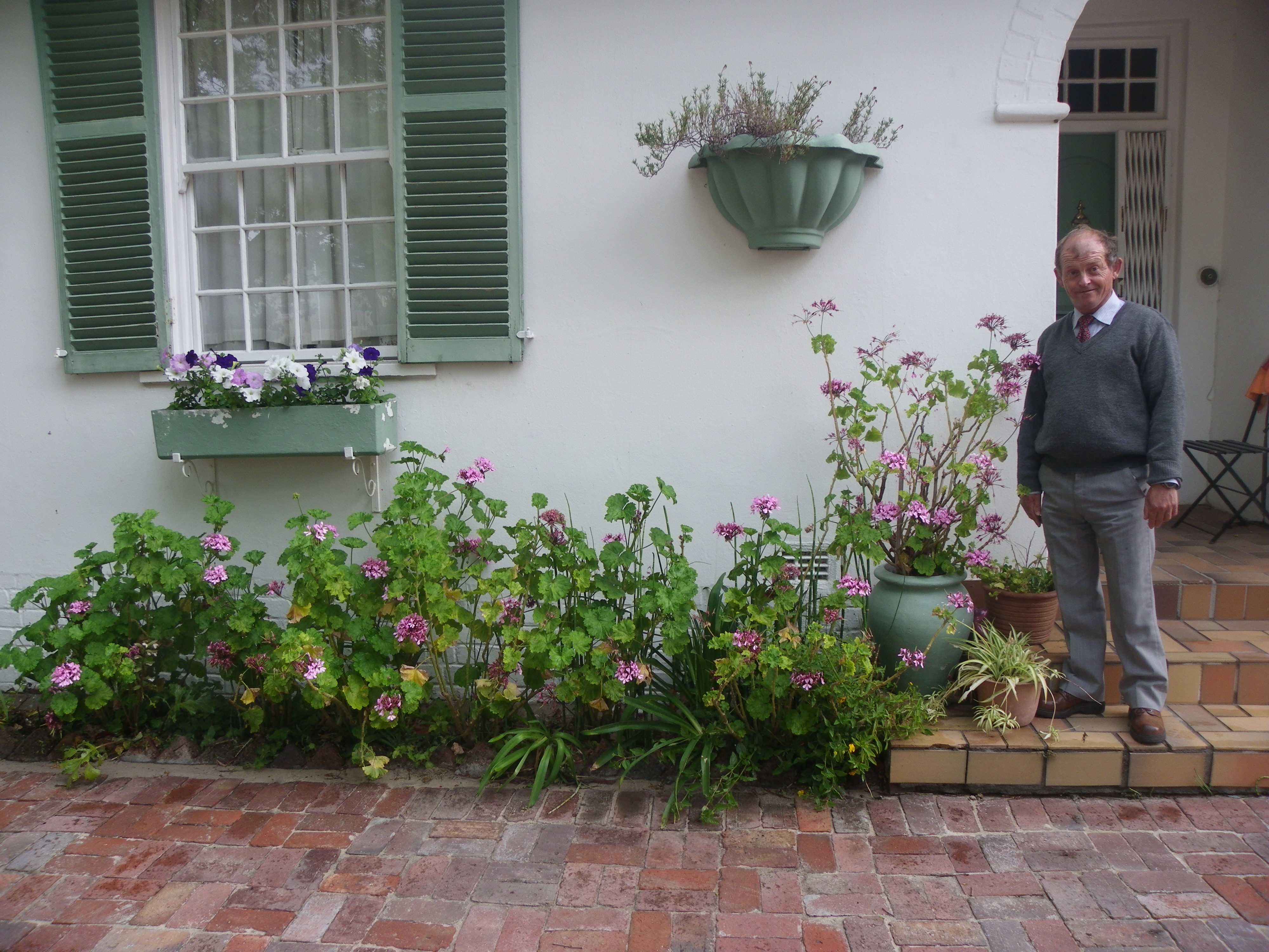 Belmont Residence Cape Town (2)