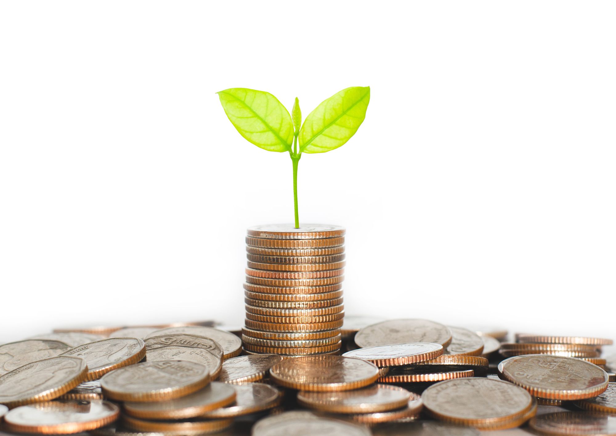 Belmont Residence Cape Town (7)