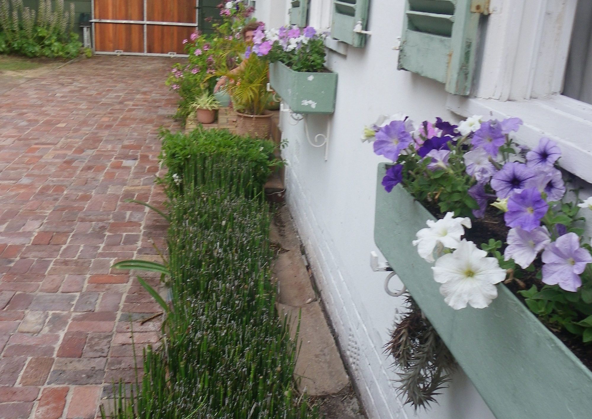 Belmont Residence House